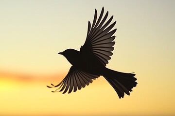 Wall Mural - Silhouette of a bird in flight during sunset.