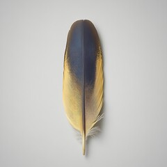 Poster - Single bird feather, yellow and dark blue, isolated on white background.