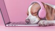 © Natalia S. - A sleepy beagle resting on a laptop, wearing pink headphones. Evoking the blend of cuteness and technology, burnout work, deadline and workaholism