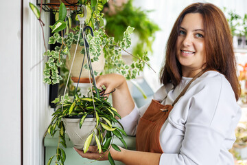 Wall Mural - Portrait woman gardener in apron cutting branch of hedera ivy care cultivation at indoor home garden