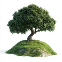 lush green tree on a grassy hill, isolated on white.