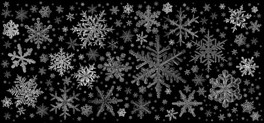 Poster - set of snowflakes on a black background, real photos natural crystals macro photo isolated on a dark background