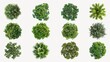 © Rawpixel.com - Tree top view element set