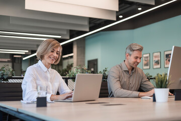 Wall Mural - Businesspeople in formalwear working on laptop and PC in the modern office.