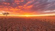 © Sinechana - 72.A dramatic view of a dry, barren field under a vivid red sunset, the horizon glowing as the sun dips low, highlighting the severity of drought conditions.
