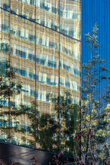 This vibrant urban glass facade reflects nature elements, showing the beautiful contrast between modern architecture and the organic forms of trees and plants in Barcelona Spain