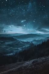 Wall Mural - person gazing at night sky