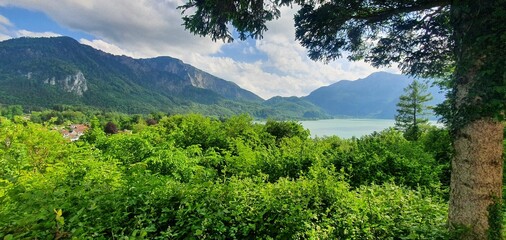 Poster - Scenic forest and mountain view with lake.