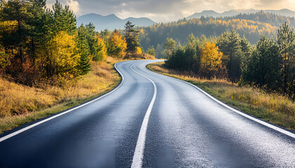 Wall Mural - Beautiful view of asphalt road going through autumn forest top view