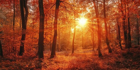 Wall Mural - Autumn forest at sunset featuring vibrant orange and yellow hues with sun rays filtering through tall trees creating a warm glowing atmosphere.