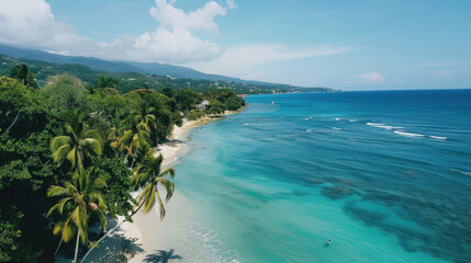 tropical island with trees