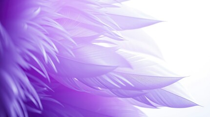 Wall Mural - ethereal feathers, soft lavender glow, delicate wisps, abstract texture, dreamy atmosphere, gradient purple background, floating plumes, angelic wings, whisper-light details, ethereal fantasy, gentle 
