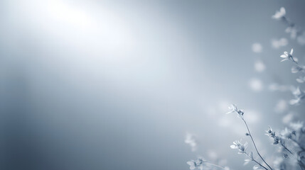 Wall Mural - silver gradient background