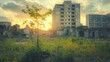 © Nitana Film Media - Solitary tree in urban ruins with sunset glow behind derelict buildings