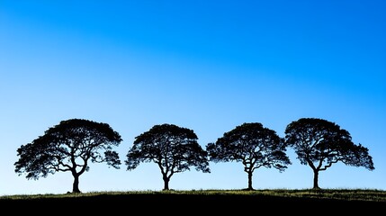 Wall Mural - silhouetted trees against bright blue sky at sunrise or sunset