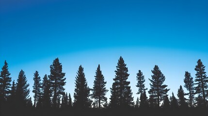 Wall Mural - silhouetted trees against bright blue sky at twilight