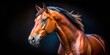 © chaowalit - Bay Horse Headshot - Side Profile, Black Background, High Detail