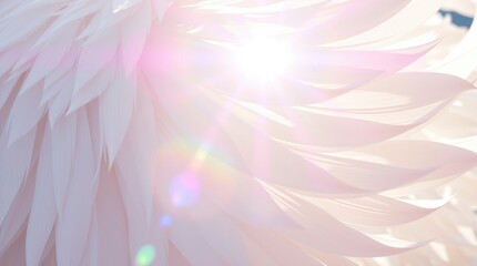 Wall Mural - Ethereal feathers, soft pink tones, delicate light rays, iridescent glow, dreamy atmosphere, macro photography, abstract texture, pastel colors, gentle curves, celestial imagery, angelic wings, lens