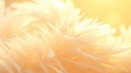 Wall Mural - Macro photograph of feathers, soft golden light, ethereal texture, angelic wings, delicate details, warm tones, dreamy atmosphere, heavenly glow, wispy strands, abstract feather background, gentle 