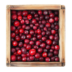 wooden box filled with fresh. vibrant red cranberries. showcasing their rich color and natural texture the arrangement highlights the berries' round shape and smooth surface. emphasizing their freshne