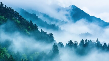 Wall Mural - mountains covered in dense mist create a serene and mysterious atmosphere at dawn, showcasing the be