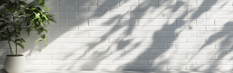 Aufkleber - Clean white brick wall with soft shadows from a nearby plant in a bright and airy environment