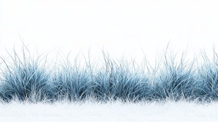 Poster - Rows of icy blue grass create a serene contrast against a white background in a minimalist setting