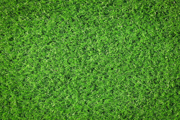 Canvas Print - top view artificial green grass texture for background
