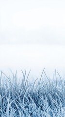 Leinwandbilder - Row of icy blue grass in a serene winter landscape under a pale sky during early morning hours
