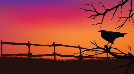Wall Mural - black raven bird, bare tree branches and countryside wooden fence at sunset - halloween evening them