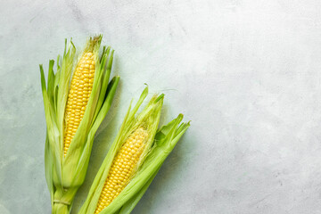 Poster - Fresh corn on the on the cobs, top view. Harvest background