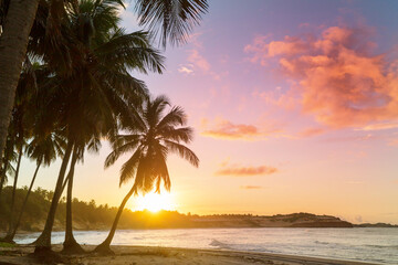 Wall Mural - Tropical beach