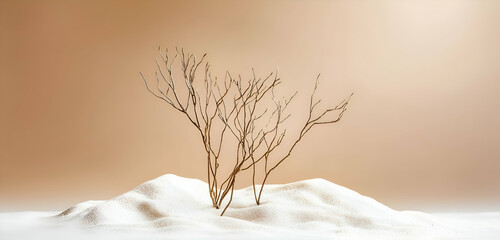 A minimalistic product presentation background with dry tree twigs and white sand against a brown background.