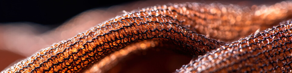 Macro Photograph of Reddish-Brown Netted Material Texture