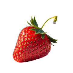 Wall Mural - strawberry isolated on white background