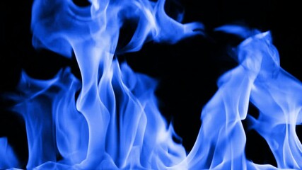 Wall Mural - gas burns with a bright blue flame. beautiful dancing fire, lots of fire. blue fire is burning. brig