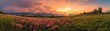 © Kristina - Panoramic view in lawn with pink rhododendron flowers, beautiful sunset with orange sky in summer time. Mountains landscapes. Location Carpathian, Ukraine, Europe. Colorful background
