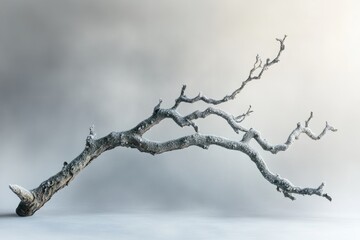 Wall Mural - A snow-covered branch elegantly curves against a muted, foggy background, evoking serenity and winter's beauty.