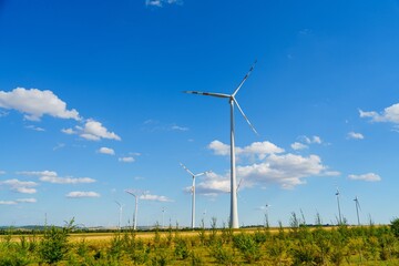 A field of white wind turbines stands against a blue sky with fluffy clouds. These turbines harness wind power, generating clean energy for a sustainable and eco-friendly future.