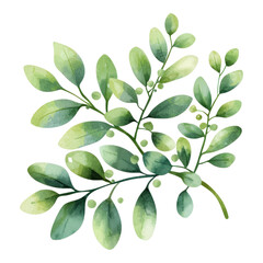 Wall Mural - Tiny Olive Branch Clipart for Elegant Design Projects