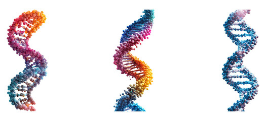 Isolated DNA helix structure with colorful strands on transparent background