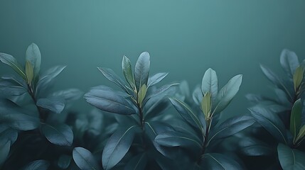 Poster - Lush Teal Green Leaves Against A Dark Background