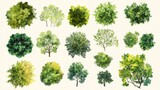 botanical landscape design elements, watercolor styled tree icons, varying foliage clusters, soft gradient greens, aerial garden planning symbols, organic canopy shapes, artistic vegetation marks,
