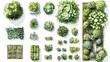 © Chaikit - professional landscape mapping assets, gentle watercolor plant symbols, comprehensive garden planning elements, varied foliage representations, architectural vegetation markers, natural green