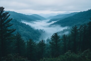 Misty Mountain Valley Enveloped in Foggy Serenity