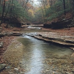 Wall Mural - Autumn stream flows through rocky forest.