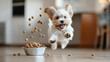 © Niks Ads - captures a fluffy, excited puppy leaping toward a bowl of dog food, with kibble flying into the air.
