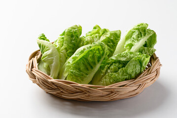 Wall Mural - Baby cos lettuce romaine in basket on white background, Fresh vegetable