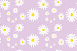 © Mr.T - Daisy Pattern Printable. Blossom Floral Print With White Flowers. Background for Trendy Fabrics, Wallpapers.