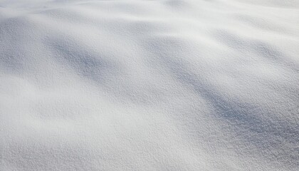 Poster - smooth pristine snow texture with soft natural light shadows, perfect for seasonal winter background, minimalistic design uses

